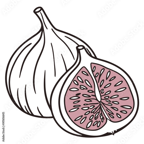 Illustration Of Whole And Halved Fig Fruit With Outline Style Isolated