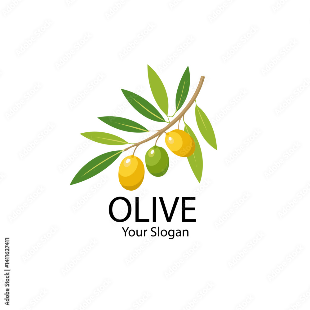 vector illustration of olive branch with leaves icon logo design text