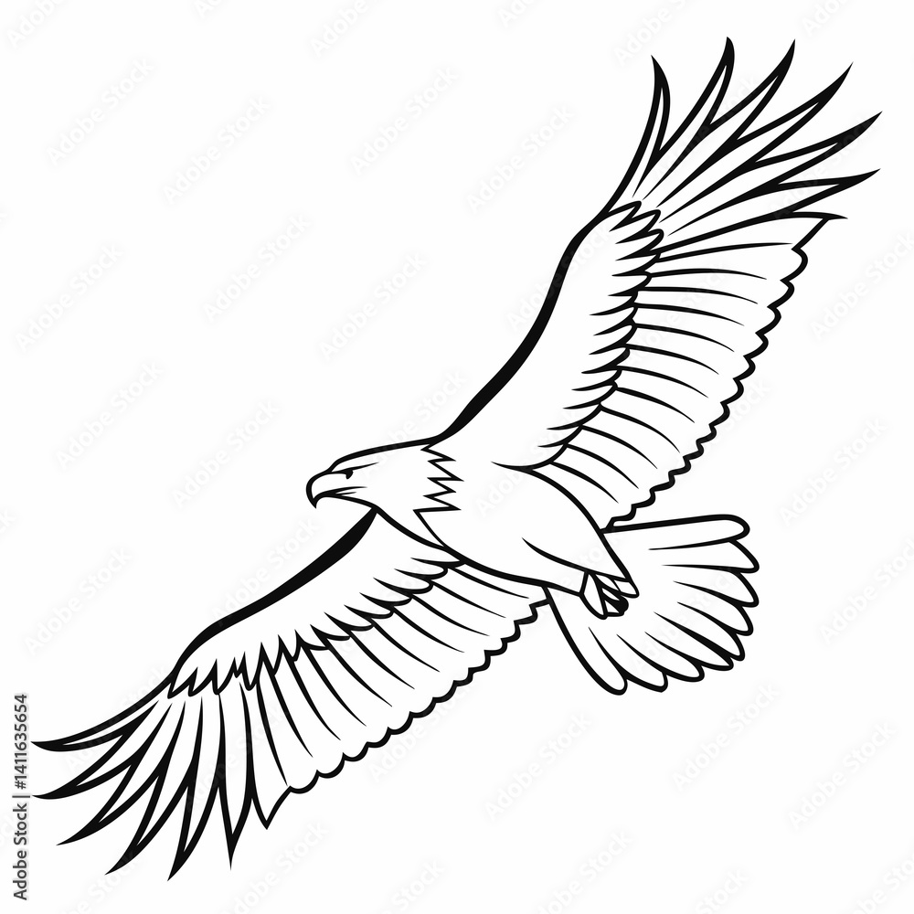 Obraz premium Eagle Vector Art and Illustration Set (from a collection)