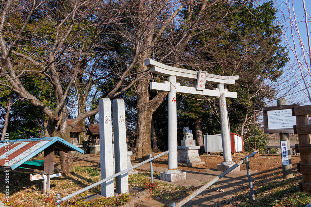 江戸時代の藤岡城趾に作られた神社。
栃木県栃木市渡良瀬遊水地-2025