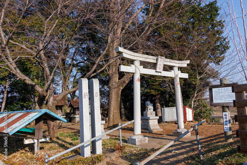 Obraz na płótnie 江戸時代の藤岡城趾に作られた神社。
栃木県栃木市渡良瀬遊水地-2025
w salonie