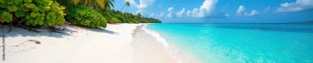 White sand beach, crystal clear tropical water, vibrant coral , clear, marine White sand beach, crystal clear tropical water, vibrant coral , clear, marine