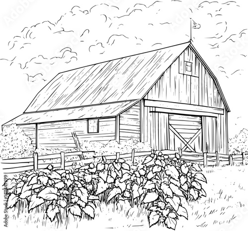 Farmhouse style Barn coloring book design, Farmhouse style Barn vector illustration