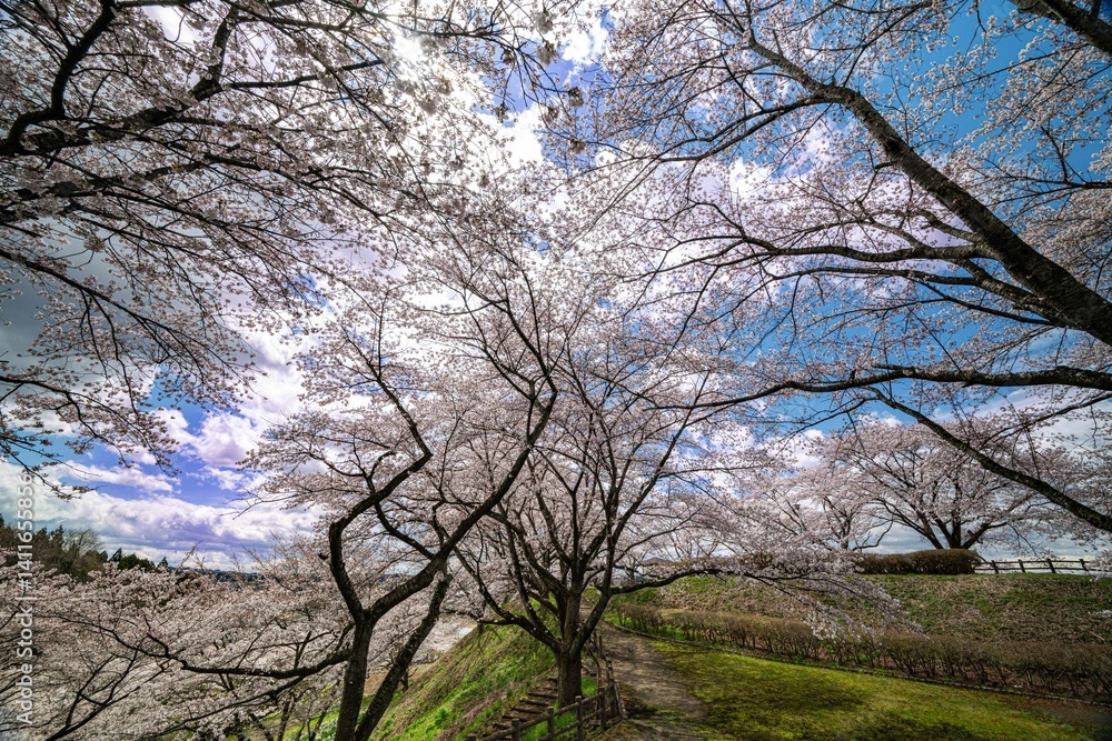 大和町八谷緑地公園 大和町八谷緑地公園