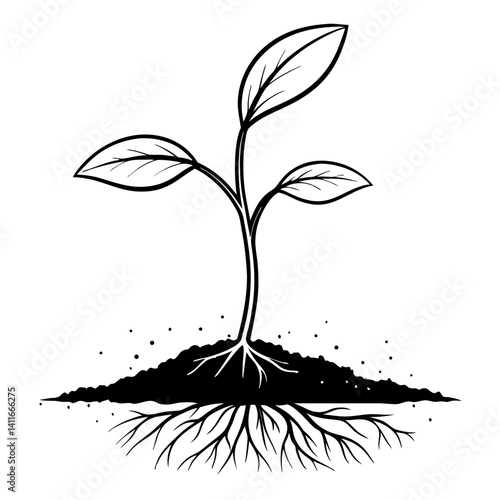 Growth of a Seedling with Roots and Leaves Suitable for Nature Themes and Gardening Art