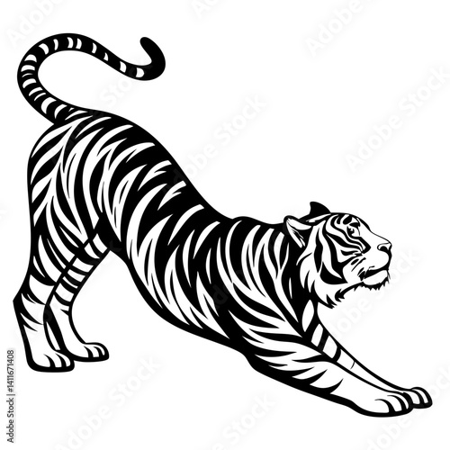 Bold Stretching Tiger Illustration for Tattoo Design and Coloring Pages