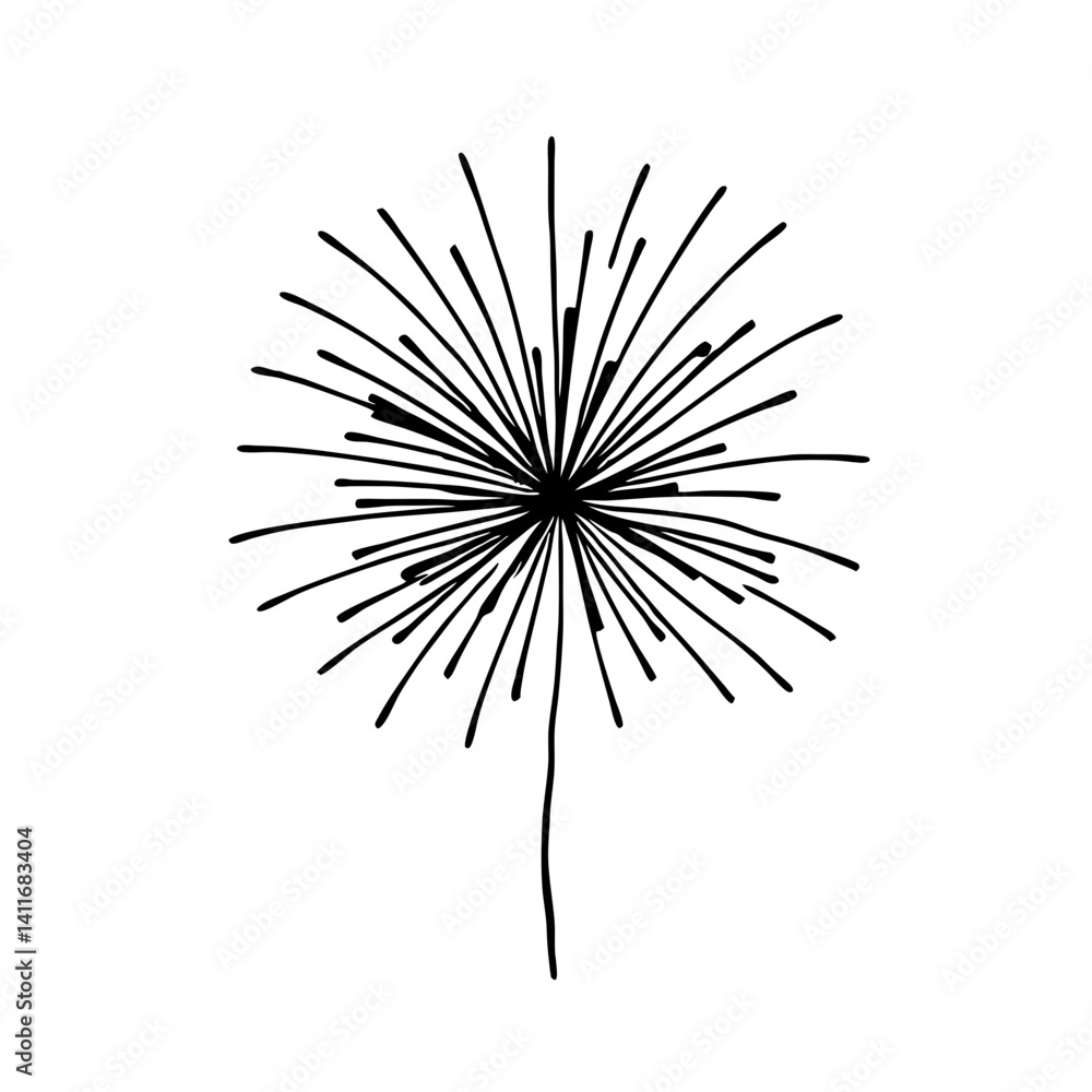 Fototapeta premium Elegant Fireworks Burst Graphic Ideal for Celebration Invitations and Decorative Projects