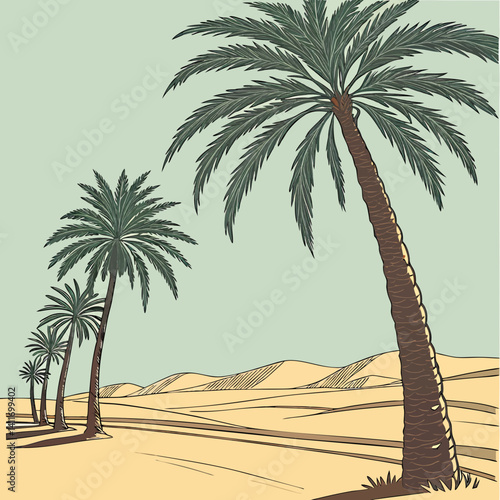 A row of palm tree with western desert