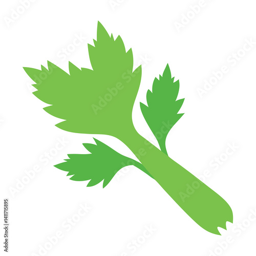 Fresh celery leaf single on clean white background. 