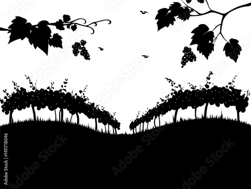 Vineyard silhouette design, Vineyard vector graphic