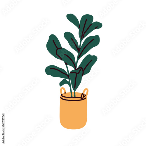 Leaf houseplant in basket planter. Tall green ficus lyrata with large leaves,...