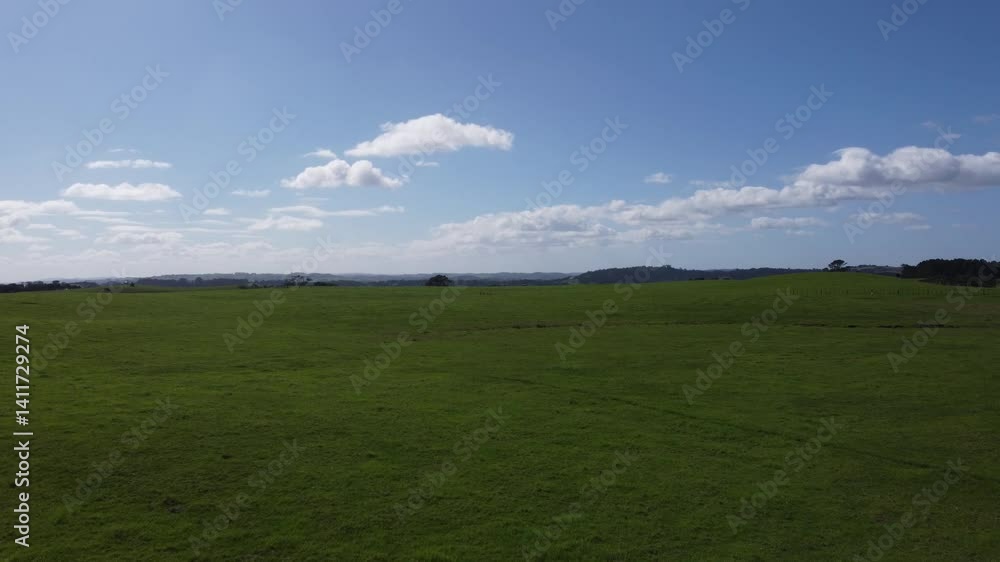 Wide Aerial View of Farmland in New Zealand on a Clear Day Wide Aerial View of Farmland in New Zealand on a Clear Day