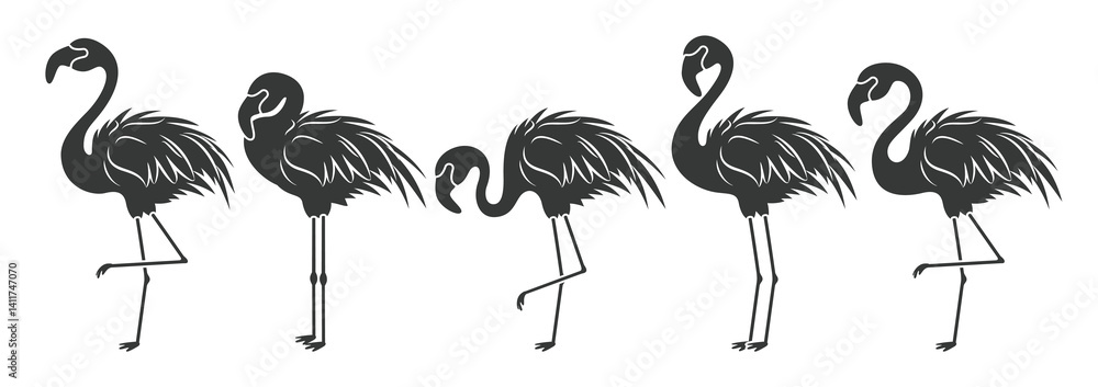 Obraz premium Flamingo silhouette drawing clipart set. Summer bird flamingo clipart collection in black lines icon, symbol and logo graphic elements vector illustration.