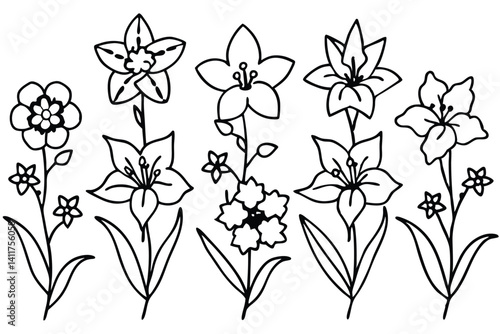 Delphinium Dream Line Art Unfolds Soft Layers of Time
