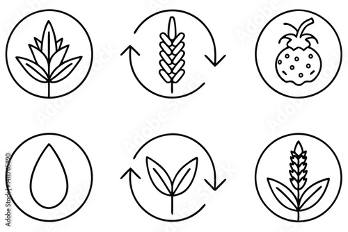 Crop rotation line art boosts crop yield naturally