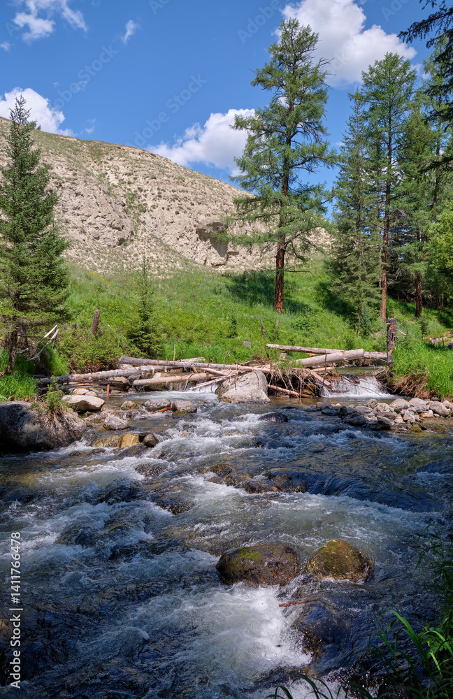 Altai mountain river Verkhniy Kulash,. On the river banks there is siberian larch taiga forest. Altai mountain river Verkhniy Kulash,. On the river banks there is siberian larch taiga forest.