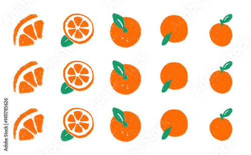 Orange Slices and Whole Oranges Illustration