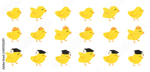 Cute Chicks in Hats and Graduation Caps Pattern