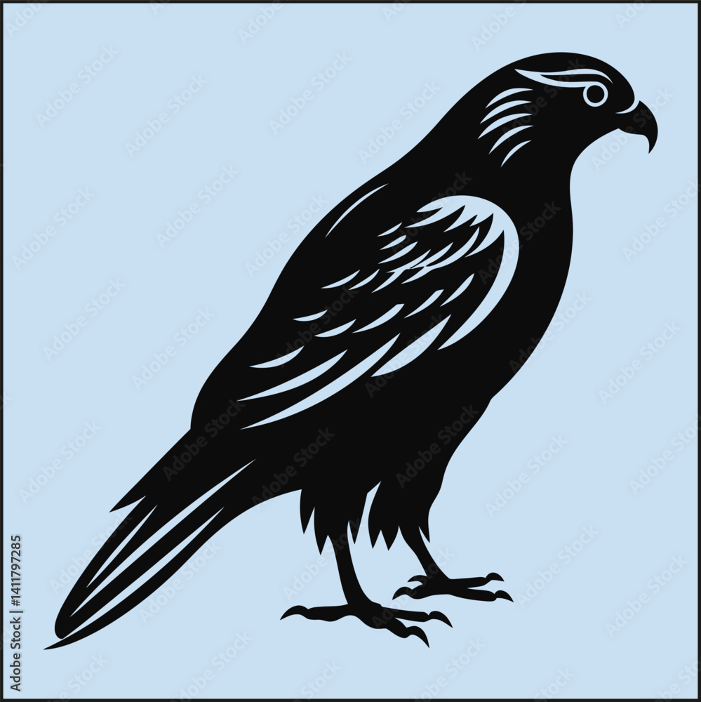 Fototapeta premium Silhouette of a Falcon, Bird