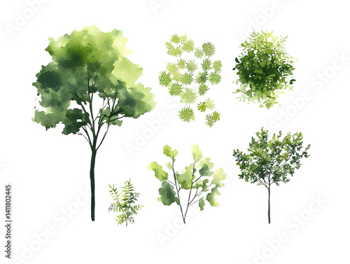 tree top watercolor hand drawn view isolated on white background for landscape plan and architecture layout drawing, elements for environment and garden