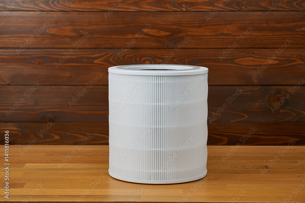 Clean new air purifier filter replacement
