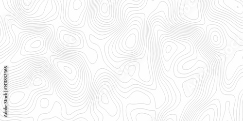 White topography topology vector white background fresh contour map texture. white seamless pattern Abstract background with a wave Topography and geography map grid abstract backdrop.