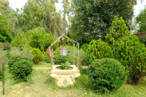 garden in the garden