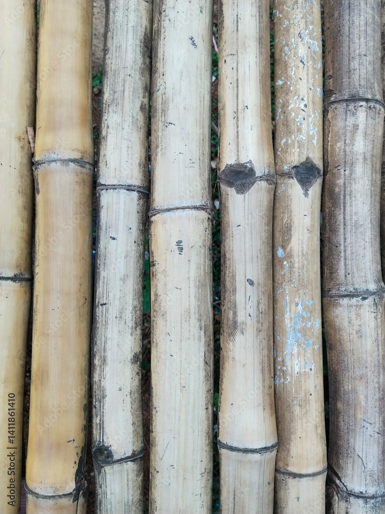 Close-up of vertical bamboo poles with a textured, natural pattern. Close-up of vertical bamboo poles with a textured, natural pattern.