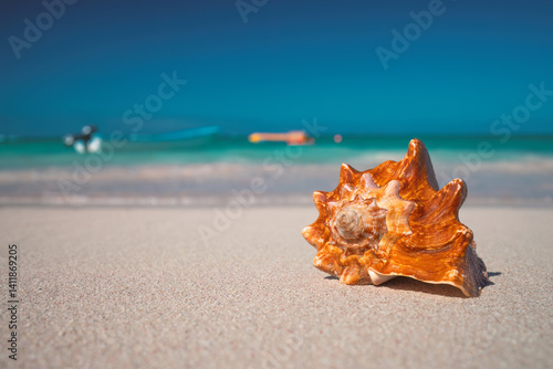 Fototapeta Naklejka Na Ścianę i Meble -  Seashell on Tropical Caribbean Beach Shore with sea waves on the sand, Caribbean summer vacation in the Caribbean island in Punta Cana, Dominican Republic