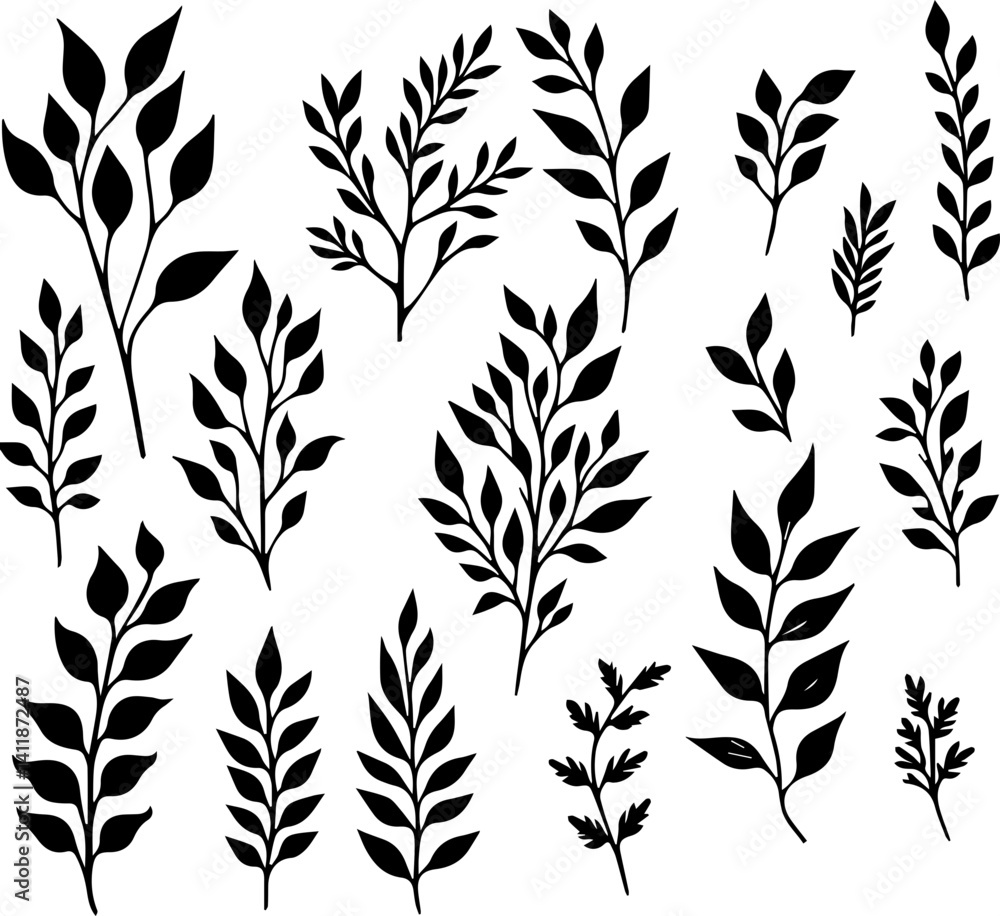 Fototapeta premium Black plant silhouettes on white background for design use