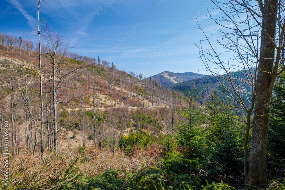 Early spring in the mountains. Beautiful sunny day. Yellow trail to the peak of Wielka Racza. Bendoszka Wielka peak in the distance. Beskid Zywiecki. Rycerka. Poland