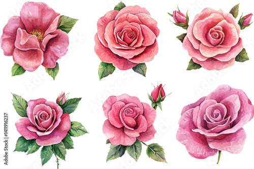 Beautiful Pink Rose set in Watercolor