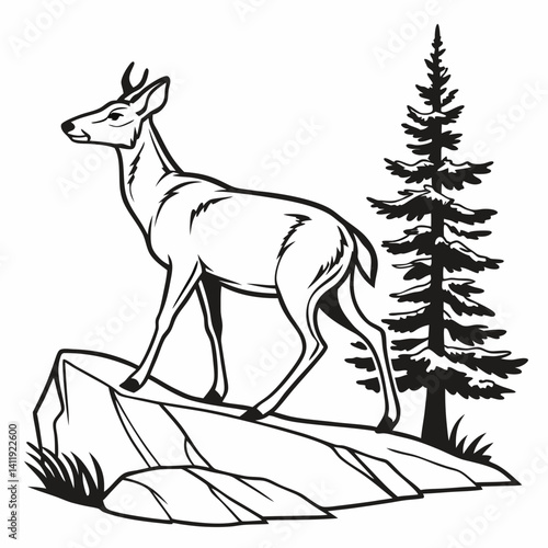 A vector whitetail deer standing on the hill or stone under a pine tree