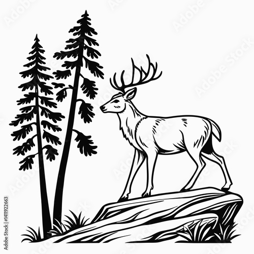 A vector whitetail deer standing on the hill or stone under a pine tree