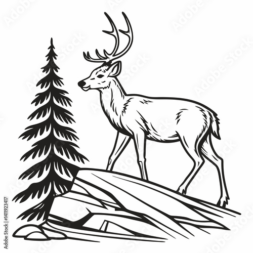 A vector whitetail deer standing on the hill or stone under a pine tree