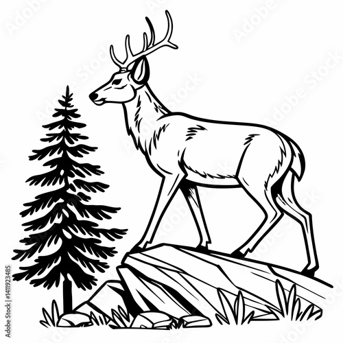 A vector whitetail deer standing on the hill or stone under a pine tree