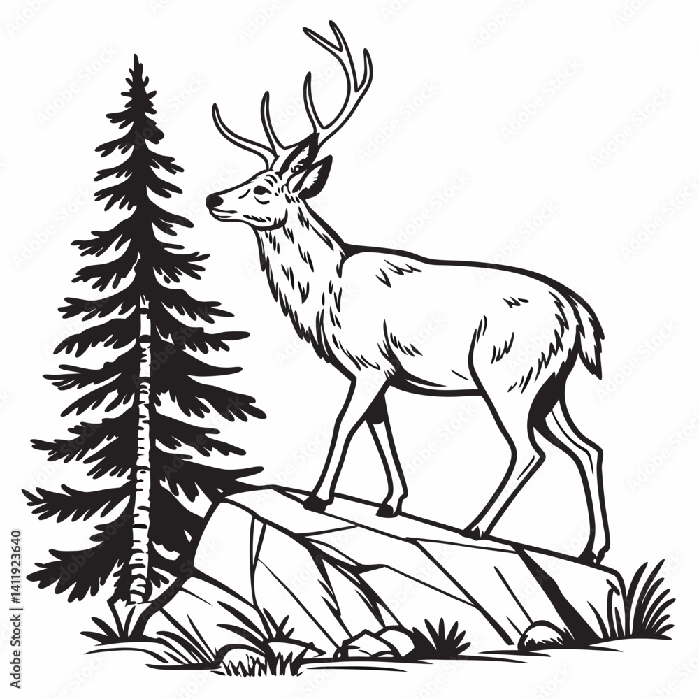 Obraz premium A vector whitetail deer standing on the hill or stone under a pine tree