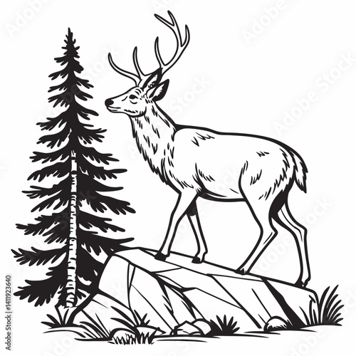 A vector whitetail deer standing on the hill or stone under a pine tree