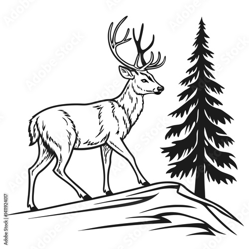A vector whitetail deer standing on the hill or stone under a pine tree