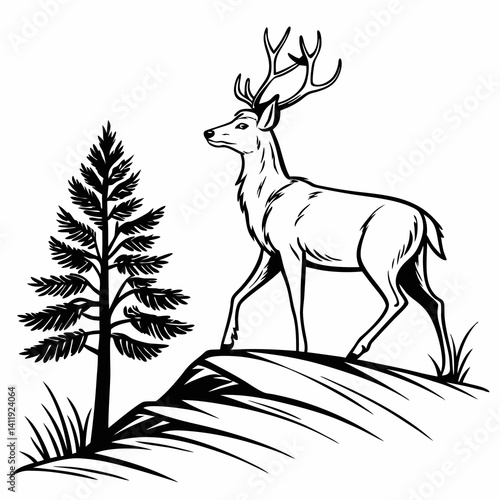 A vector whitetail deer standing on the hill or stone under a pine tree