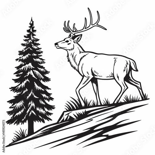 A vector whitetail deer standing on the hill or stone under a pine tree