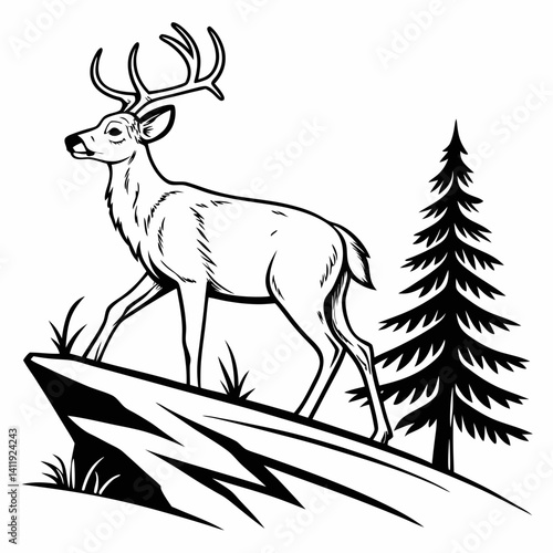 A vector whitetail deer standing on the hill or stone under a pine tree