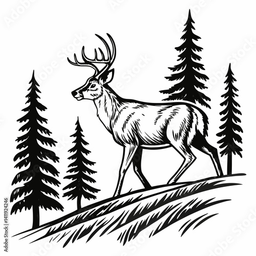 A vector whitetail deer standing on the hill or stone under a pine tree