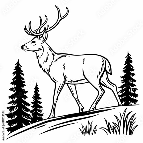 A vector whitetail deer standing on the hill or stone under a pine tree