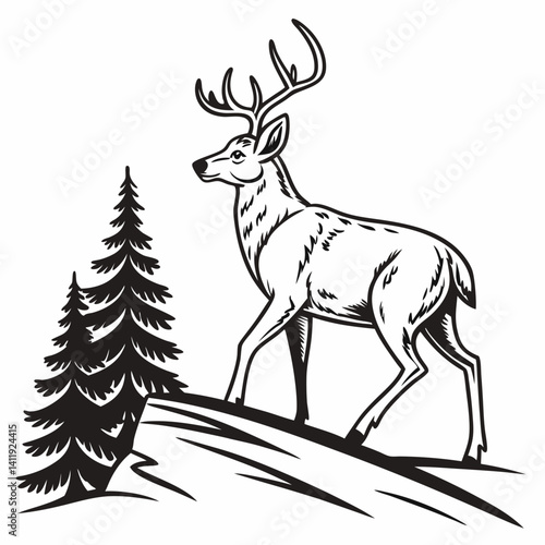 A vector whitetail deer standing on the hill or stone under a pine tree
