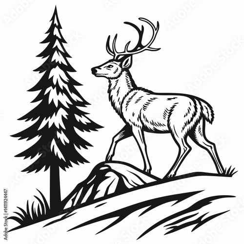 A vector whitetail deer standing on the hill or stone under a pine tree