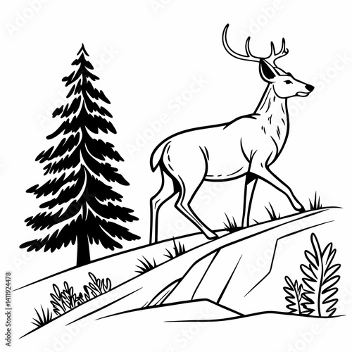 A vector whitetail deer standing on the hill or stone under a pine tree
