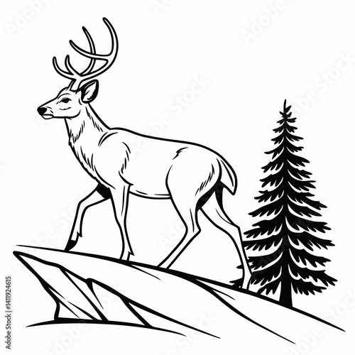 A vector whitetail deer standing on the hill or stone under a pine tree