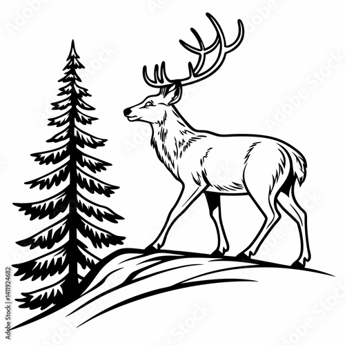 A vector whitetail deer standing on the hill or stone under a pine tree