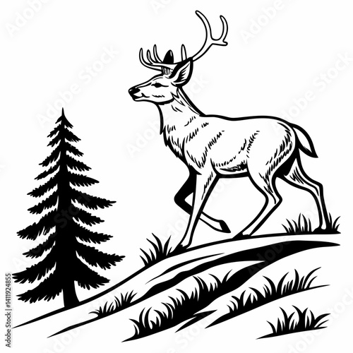 A vector whitetail deer standing on the hill or stone under a pine tree